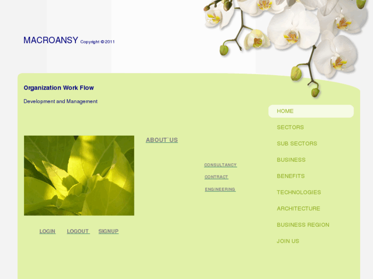 www.macroansy.org