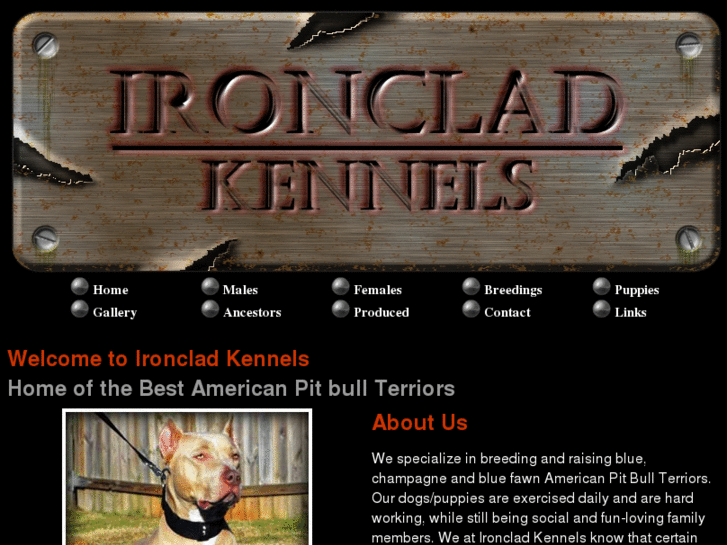 www.ironcladkennels.com