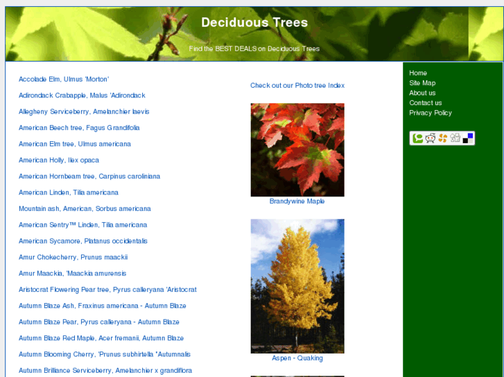 www.deciduous-trees.com