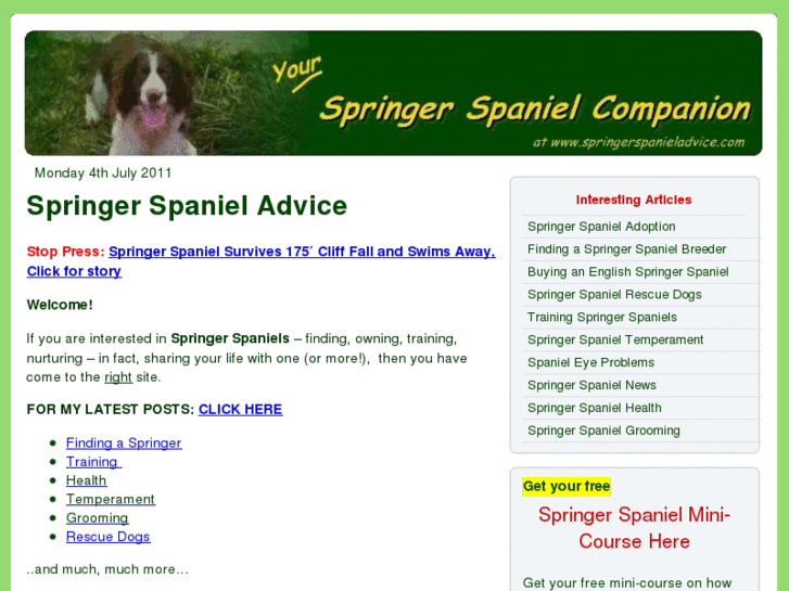 www.springerspanieladvice.com