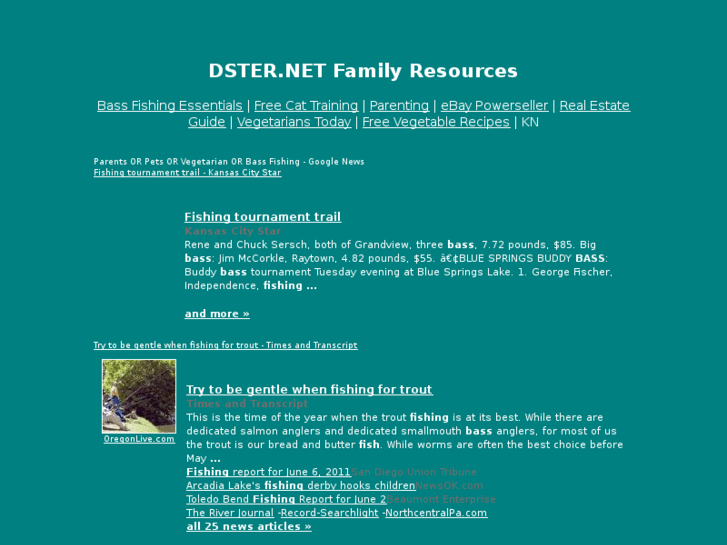 www.dster.net