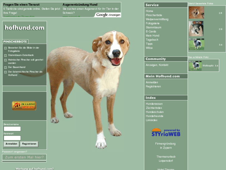 www.hofhund.com
