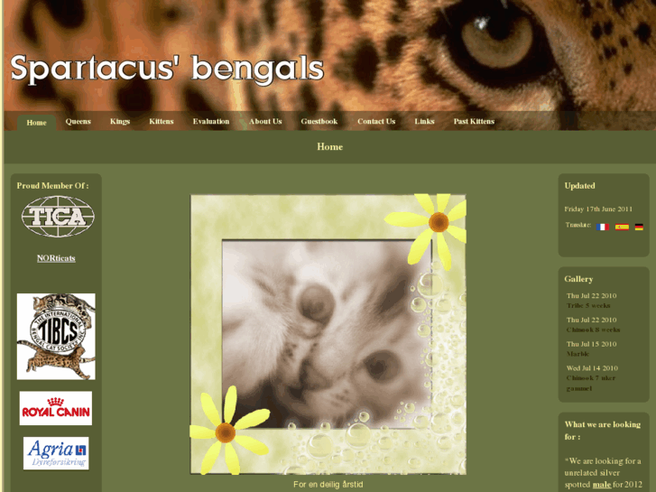 www.spartacusbengals.com