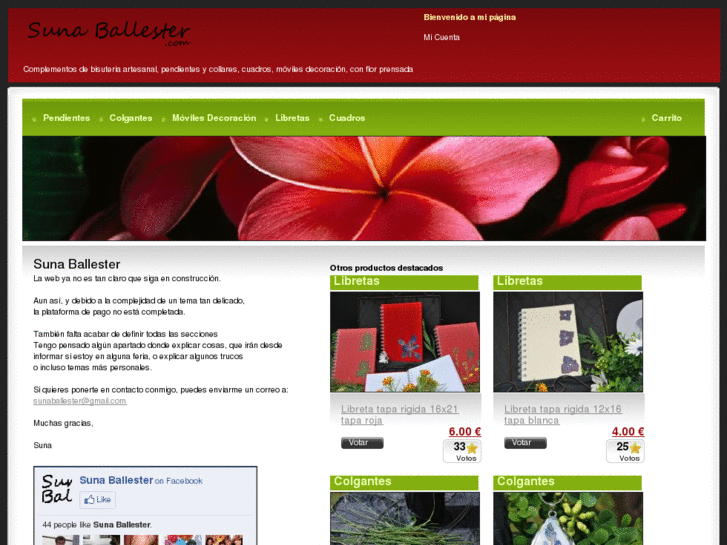 www.sunaballester.com