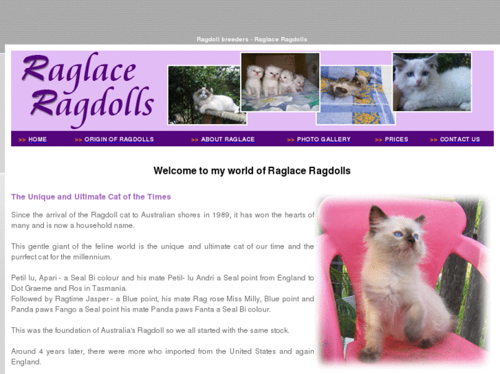 www.raglaceragdolls.com
