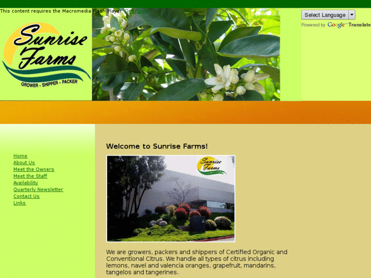 www.sunrisefarmscitrus.com