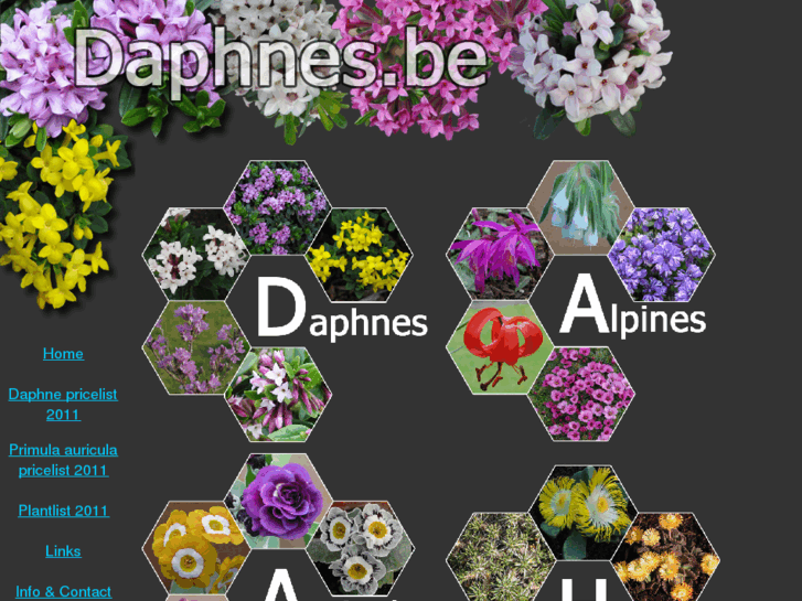 www.daphnes.be