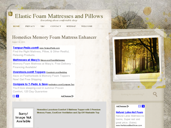 www.elasticmattress.com