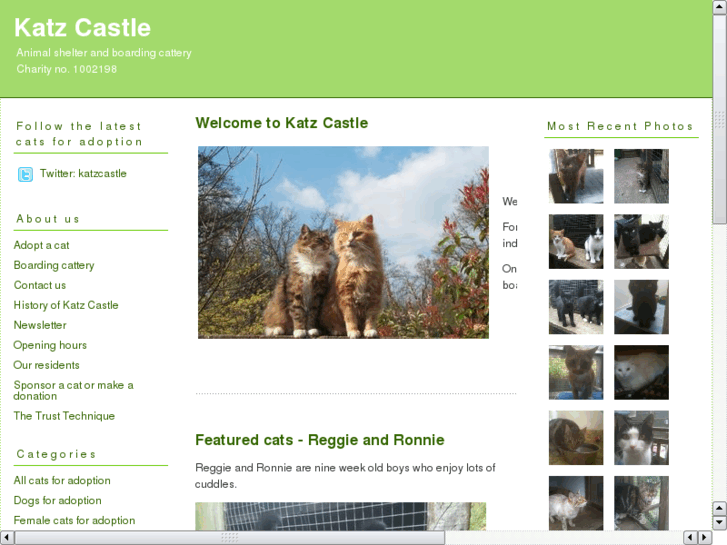 www.katzcastle.com