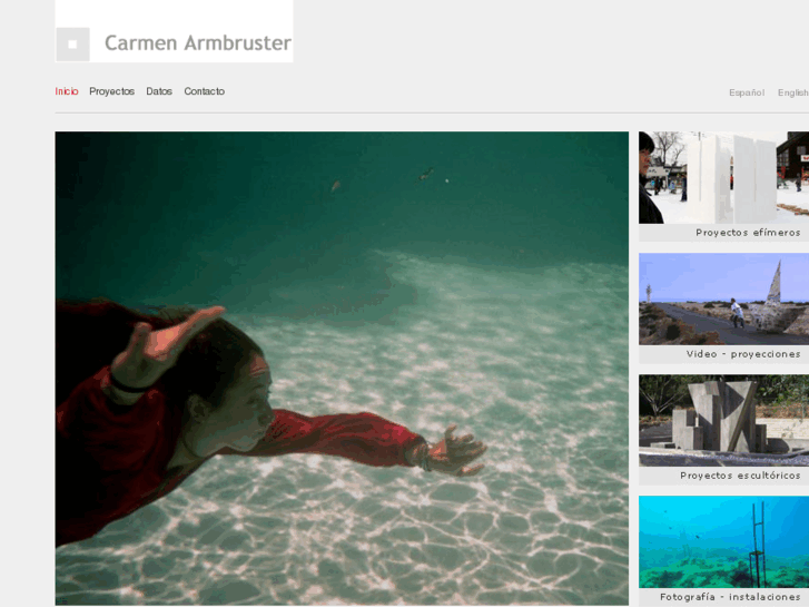 www.carmenarmbruster.com