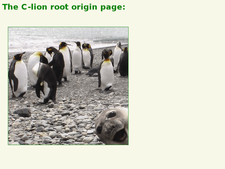 www.clion.org