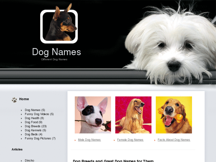www.dogs-names.net