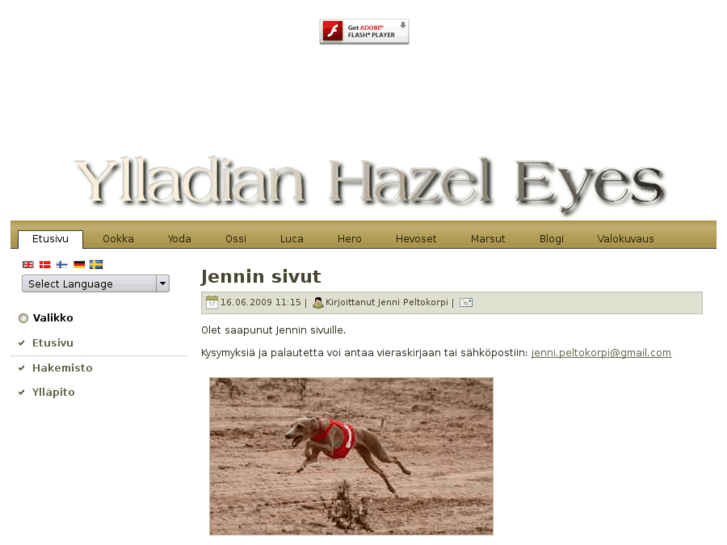 www.jennin.com