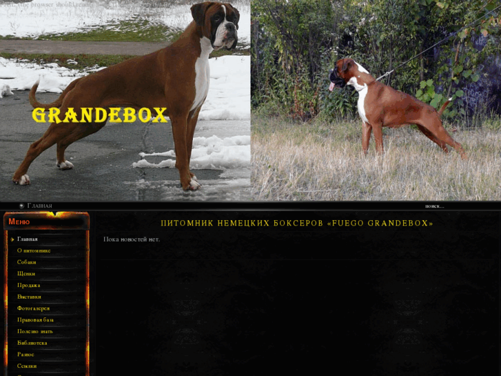 www.grandebox.com
