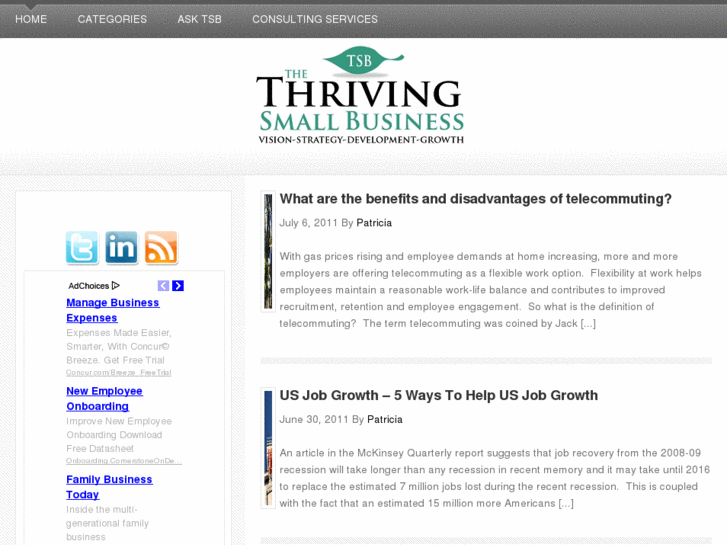 www.thethrivingsmallbusiness.com