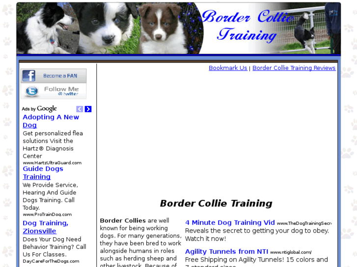 www.bordercollietraining.net