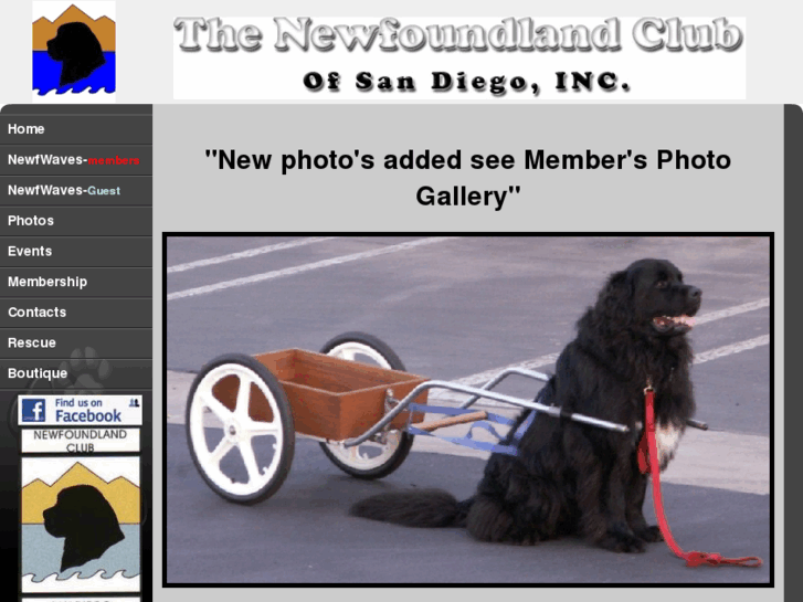 www.ncsd.biz