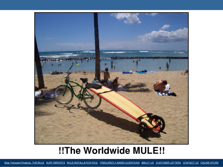 www.muletransportsystems.com