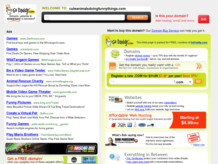 www.cadft.com
