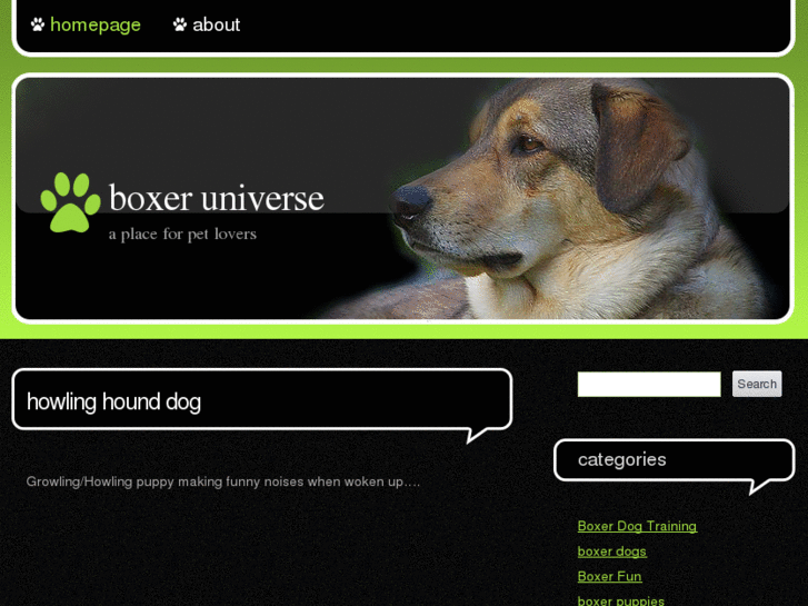 www.boxeruniverse.com