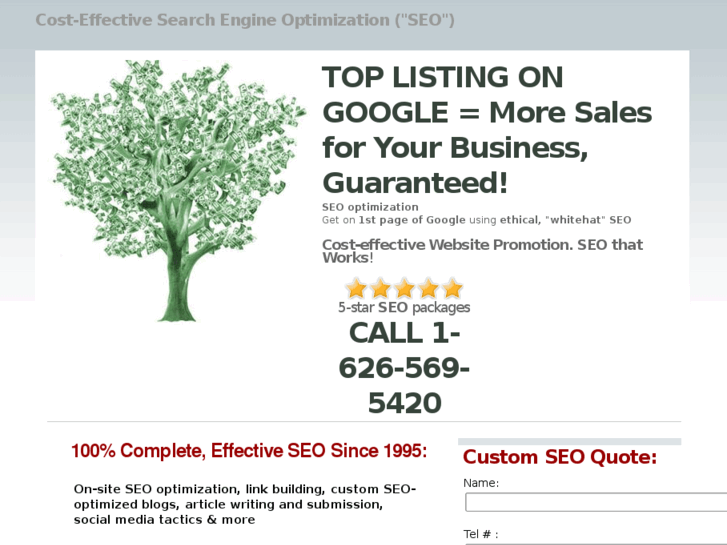 www.whitewaterseo.com