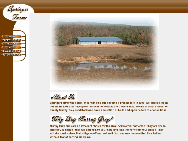 www.springerfarms.com