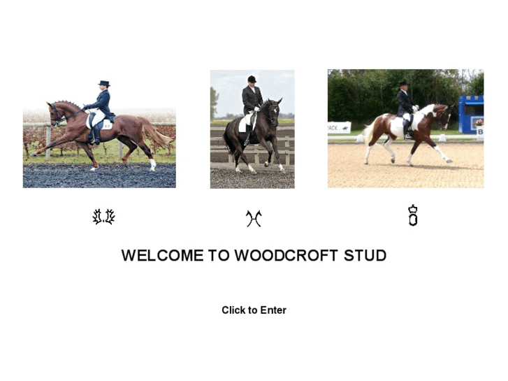 www.woodcrofttrakehners.co.uk