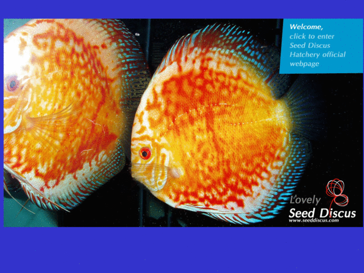 www.seeddiscus.com