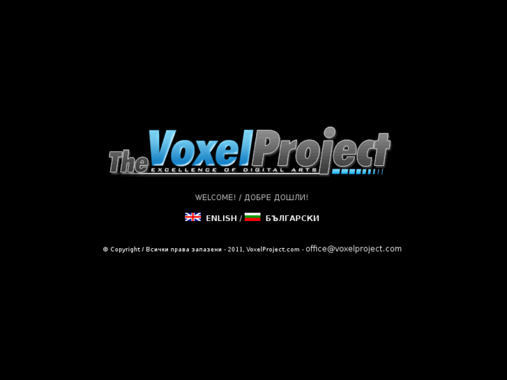 www.voxelproject.com
