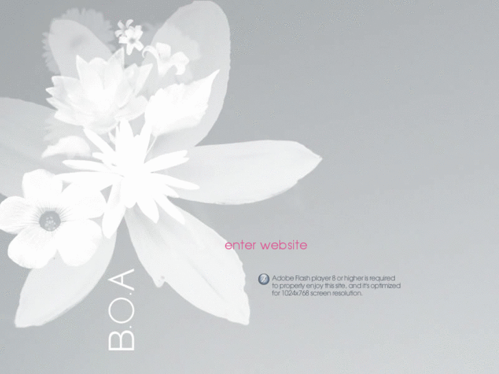 www.boaskincare.com