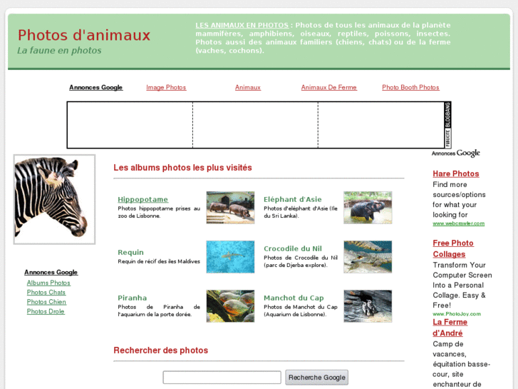 www.photosanimaux.net