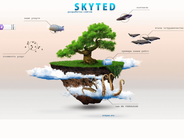 www.skyted.net