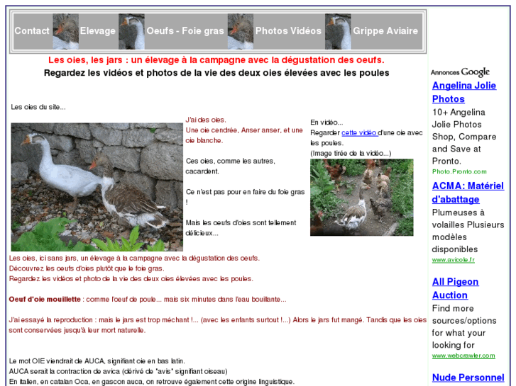 www.oies.info