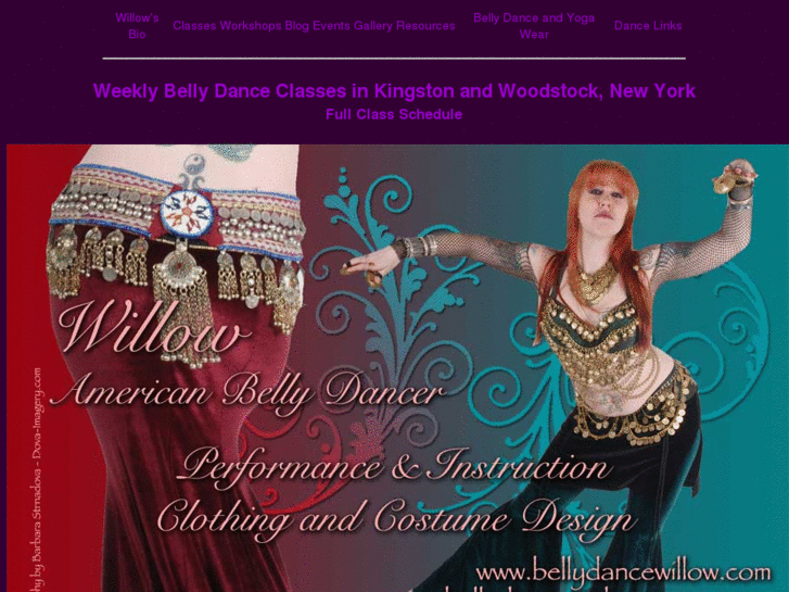 www.bellydancewillow.com