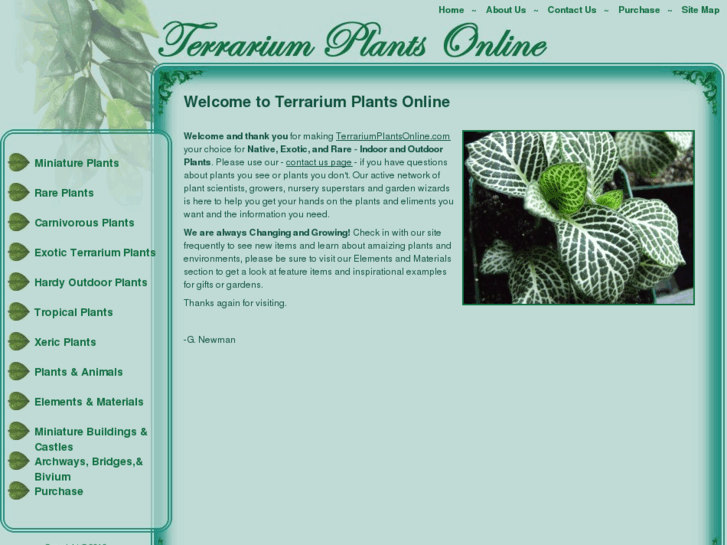 www.terrariumplantsonline.com