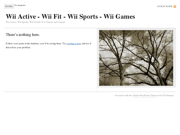 www.wiiactivefit.com