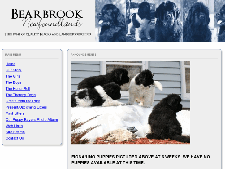 www.bearbrooknewfoundlands.com