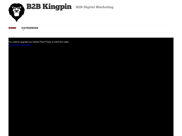 www.b2bkingpin.com
