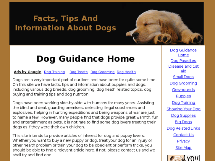 www.dogguidance.com