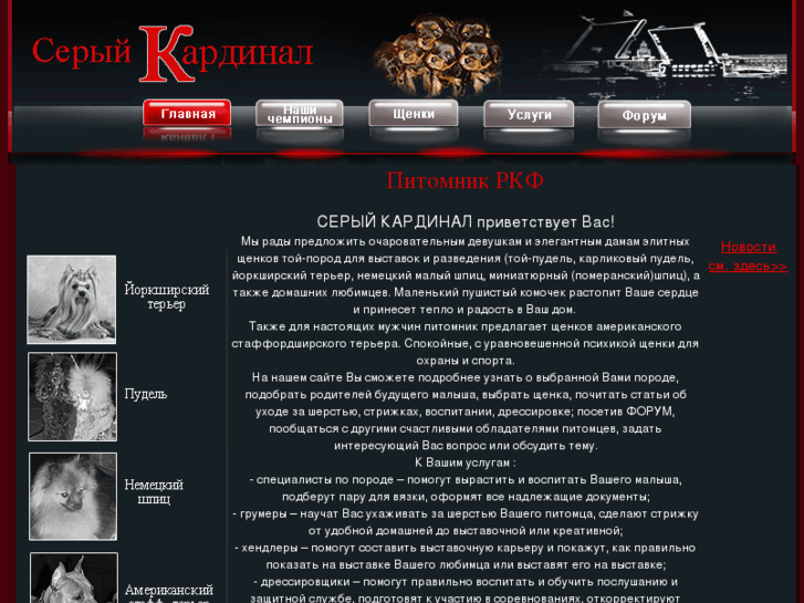www.s-kardinal.com