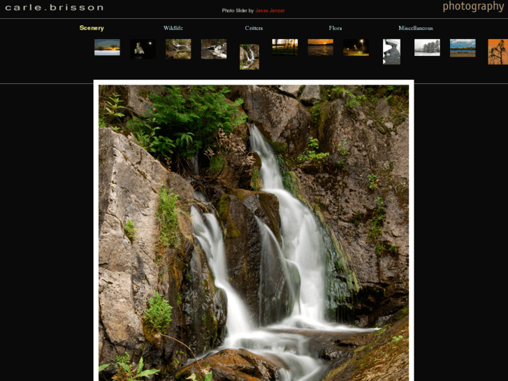 www.carlebrisson.com