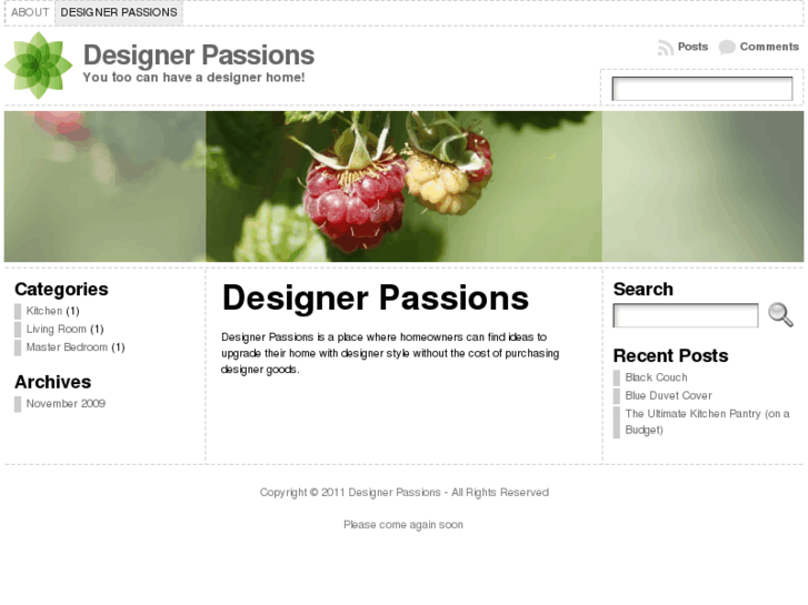 www.designerpassions.com