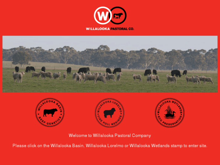 www.willalooka.com