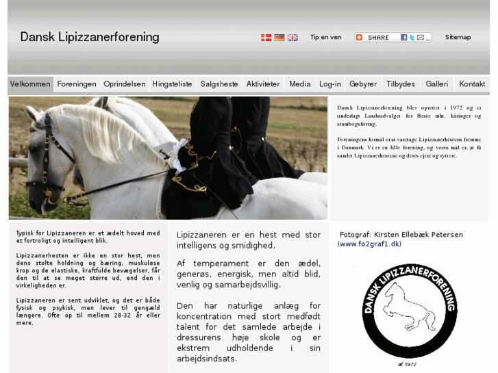 www.lipizzan.dk