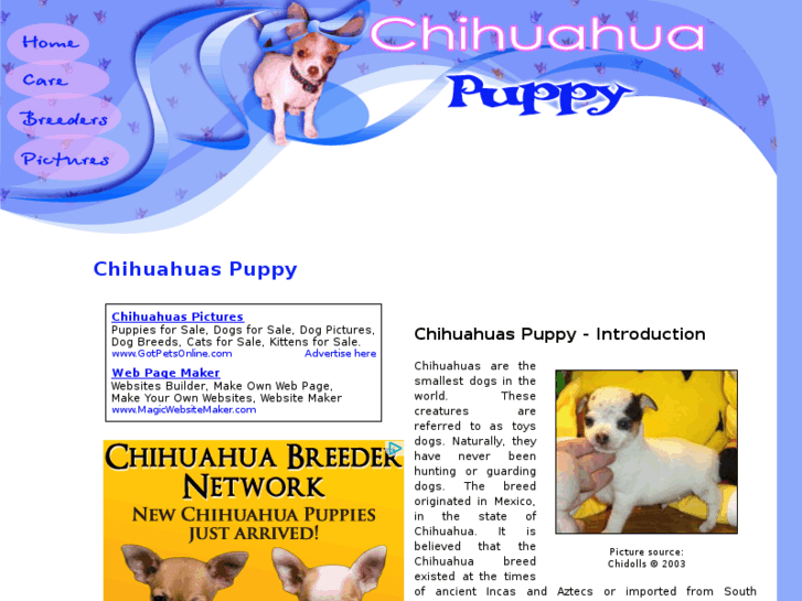 www.chihuahua-puppy.org