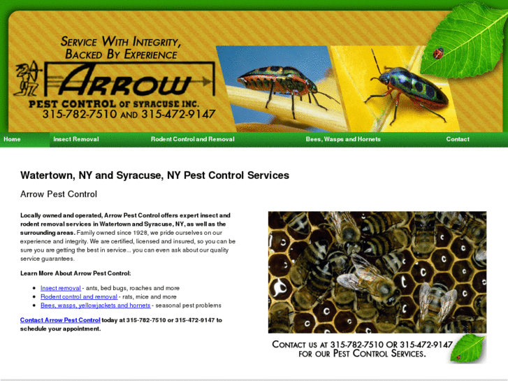 www.arrowpestny.com