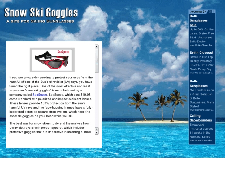 www.snowskigoggles.com