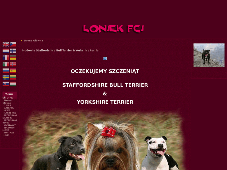 www.loniek.com