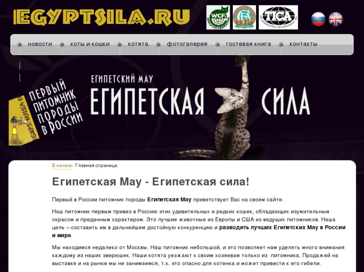 www.egyptsila.ru