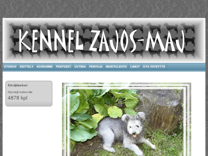 www.zajos-maj.com